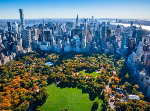 Make New York Green